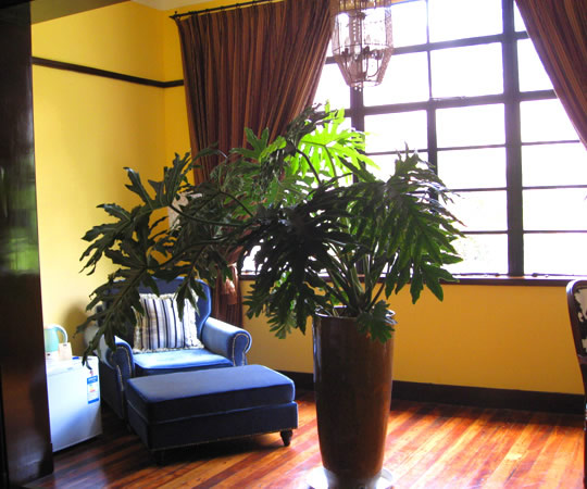 Kevin's Old House gallery photo 12